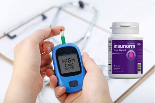 Cena Insunormu v Česku